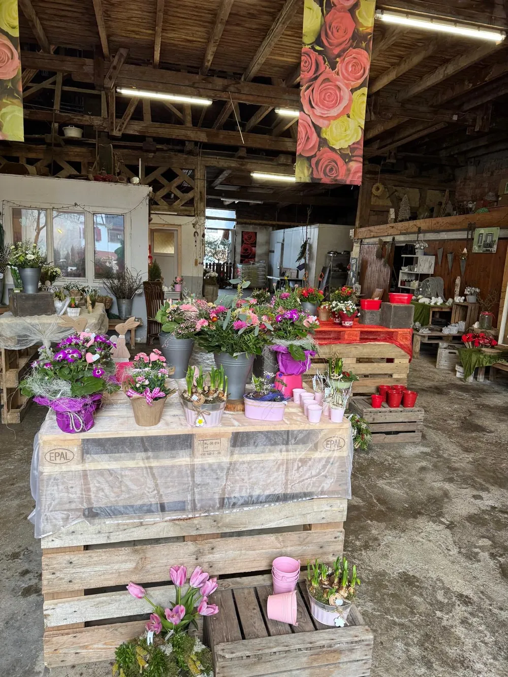 Blick unter das offene Holzgebälk auf Blumentische im Scheunenladen in Friesenheim