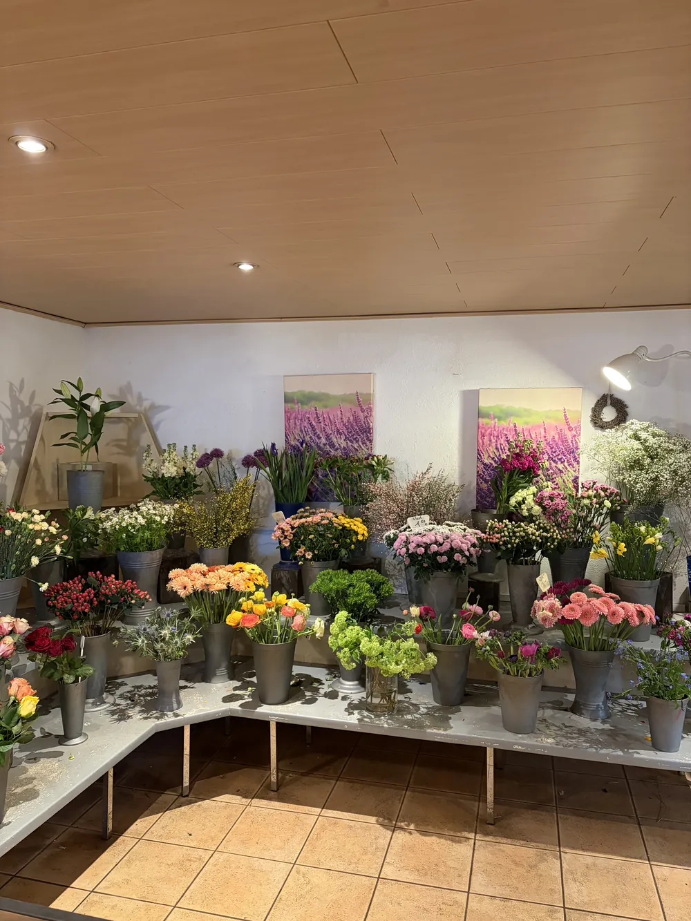 Schnittblumen in vielen Farben in den Vasenregalen des Friesenheimer Blumenladens